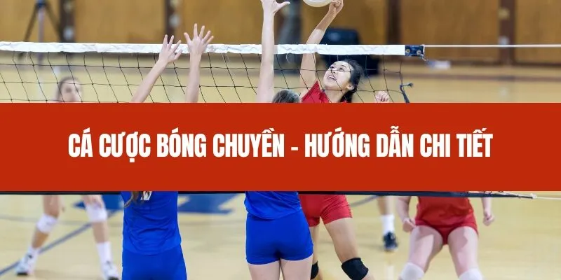 Cá Cược Bóng Chuyền - Hướng Dẫn Chi Tiết