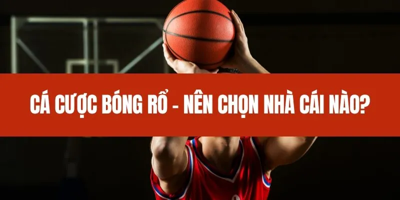 Cá Cược Bóng Rổ - Nên Chọn Nhà Cái Nào