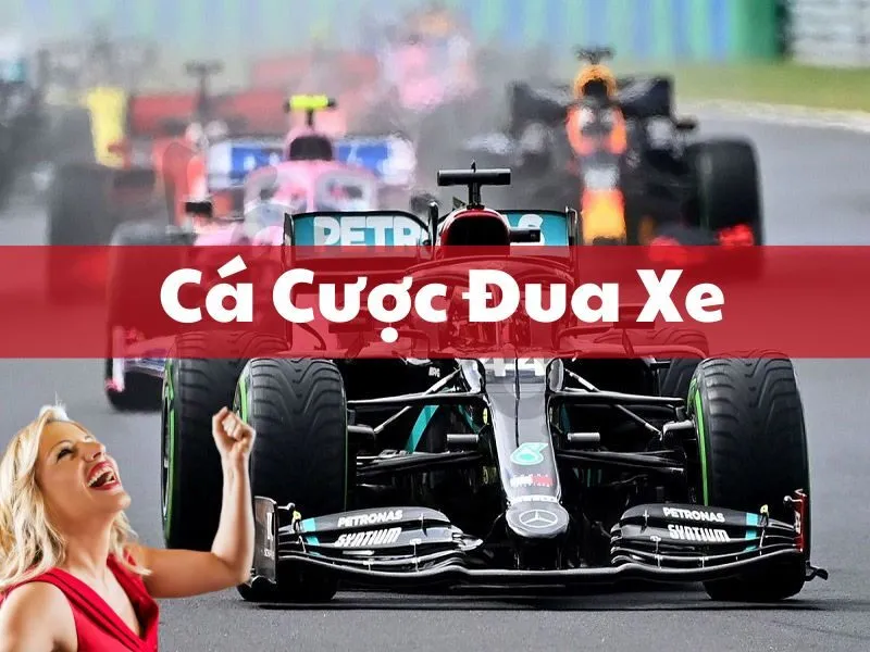 Cá Cược Đua Xe